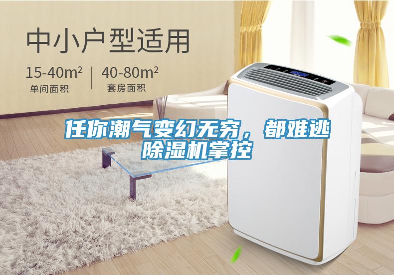 任你潮氣變幻無(wú)窮,都難逃除濕機(jī)掌控