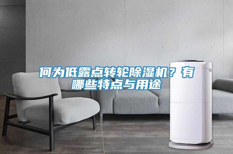 何為低露點(diǎn)轉(zhuǎn)輪除濕機(jī)?有哪些特點(diǎn)與用途