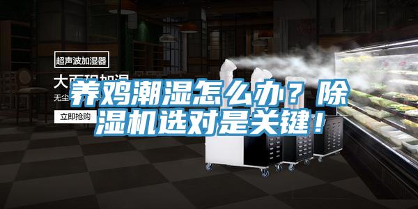 養雞潮濕怎么辦?除濕機選對是關鍵!