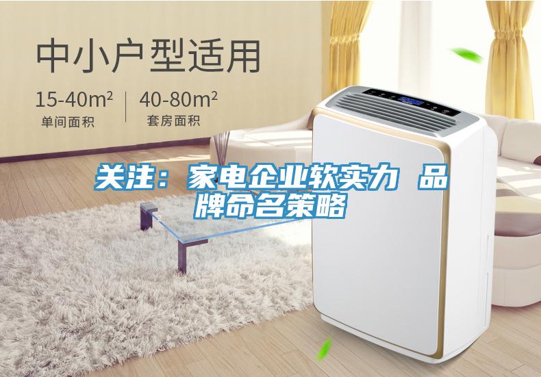 關注:家電企業軟實力 品牌命名策略