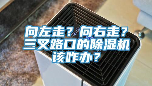 向左走？向右走？三叉路口的除濕機該咋辦？