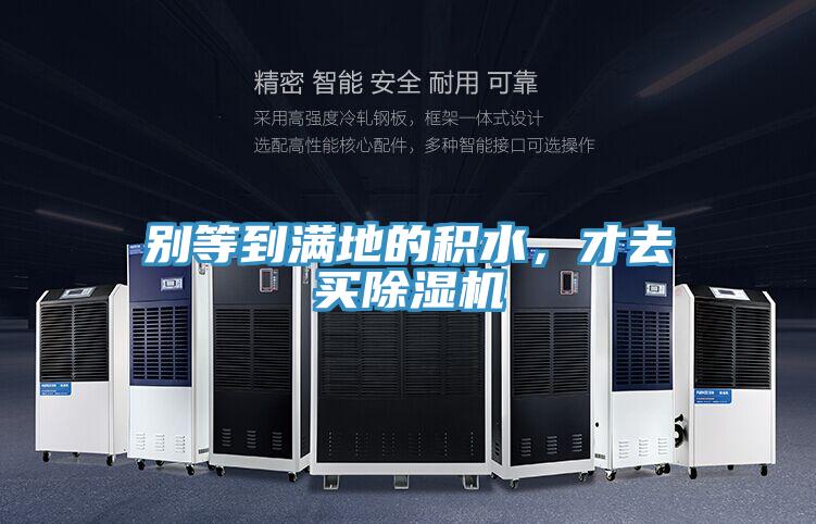 別等到滿地的積水，才去買除濕機