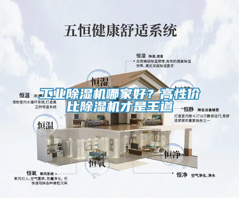 工業除濕機哪家好?高性價比除濕機才是王道