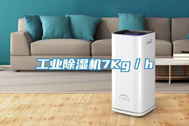 工業除濕機7Kg/h
