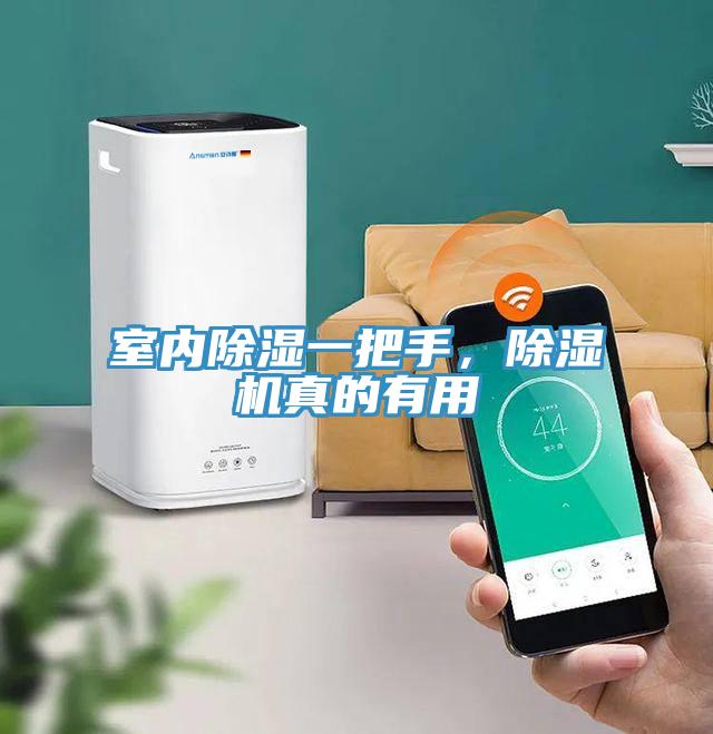 室內除濕一把手，除濕機真的有用