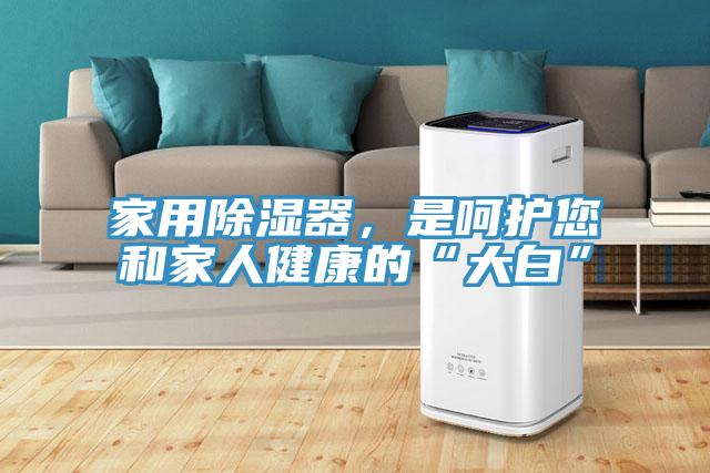 家用除濕器,是呵護(hù)您和家人健康的“大白”