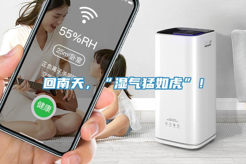 回南天，“濕氣猛如虎”！