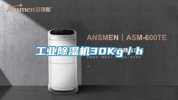 工業除濕機30Kg/h