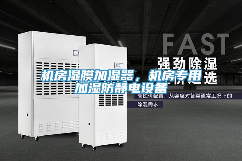 機房濕膜加濕器,機房專用加濕防靜電設(shè)備