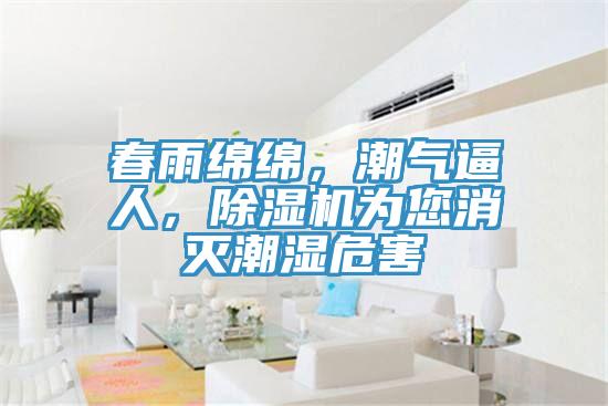春雨綿綿,潮氣逼人,除濕機為您消滅潮濕危害