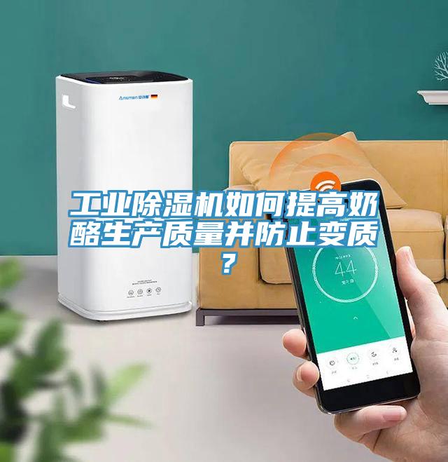 工業(yè)除濕機(jī)如何提高奶酪生產(chǎn)質(zhì)量并防止變質(zhì)?