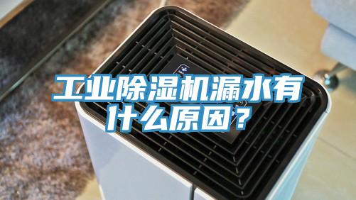 工業(yè)除濕機(jī)漏水有什么原因?