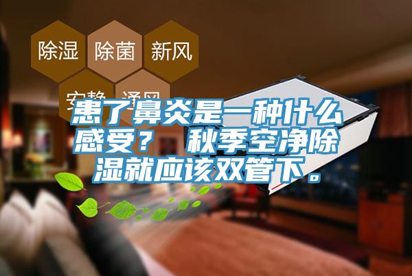 患了鼻炎是一種什么感受? 秋季空凈除濕就應該雙管下。