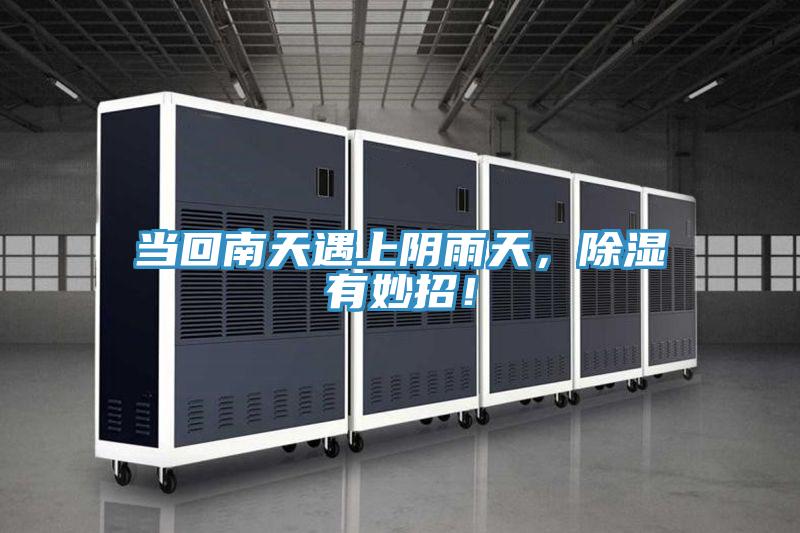 當(dāng)回南天遇上陰雨天,除濕有妙招!