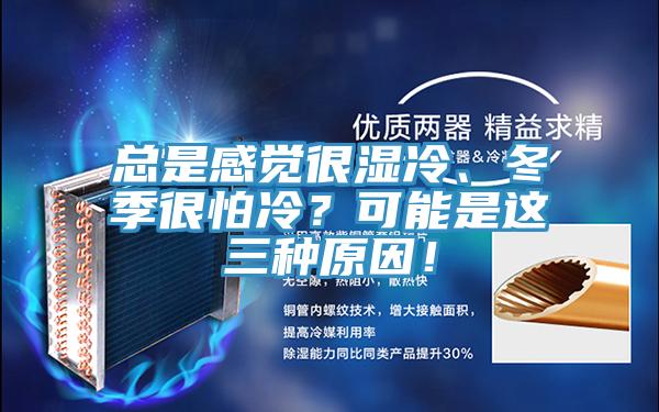 總是感覺(jué)很濕冷、冬季很怕冷？可能是這三種原因！