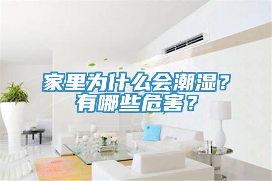 家里為什么會(huì)潮濕？有哪些危害？