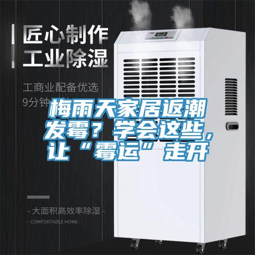 梅雨天家居返潮發(fā)霉?學(xué)會這些,讓“霉運”走開