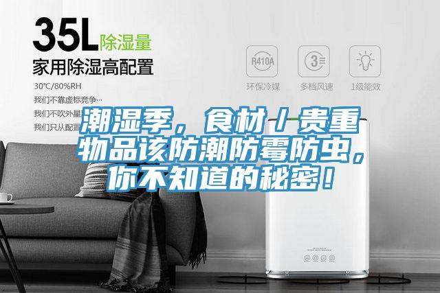 潮濕季,食材/貴重物品該防潮防霉防蟲,你不知道的秘密!