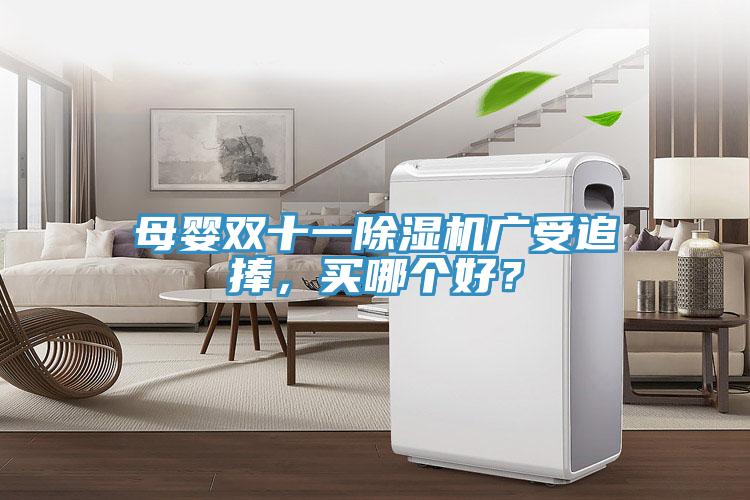 母嬰雙十一除濕機(jī)廣受追捧,買哪個(gè)好?