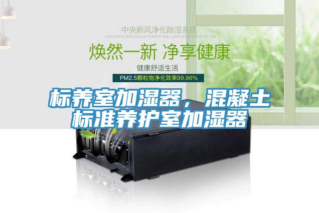 標養室加濕器,混凝土標準養護室加濕器