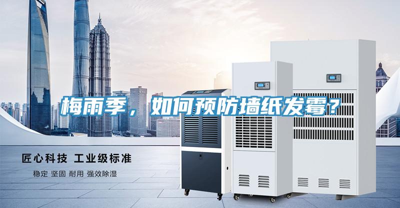 梅雨季，如何預防墻紙發霉？