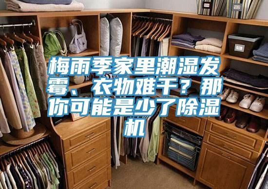 梅雨季家里潮濕發霉、衣物難干?那你可能是少了除濕機