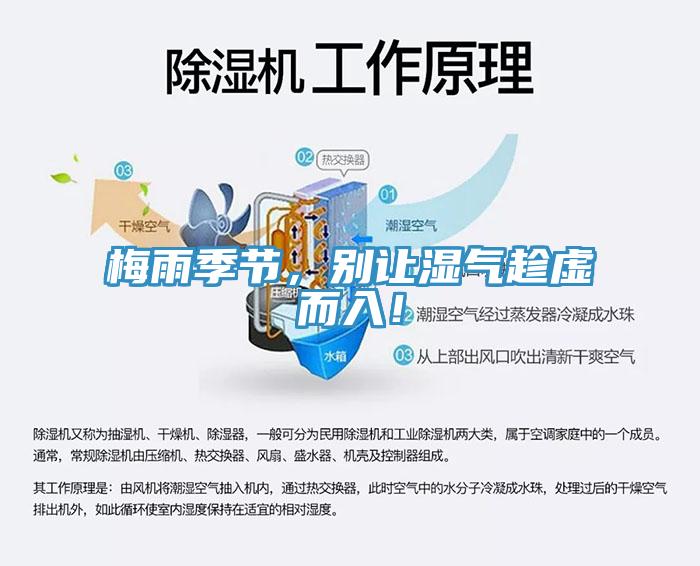 梅雨季節(jié)，別讓濕氣趁虛而入！