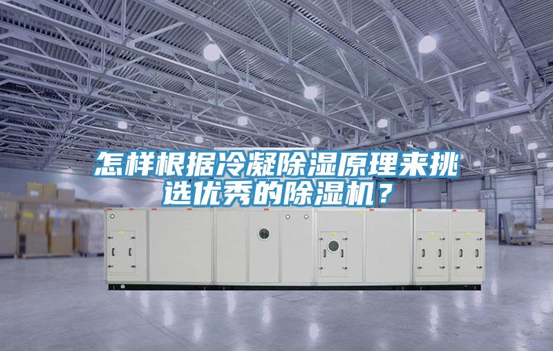 怎樣根據(jù)冷凝除濕原理來挑選優(yōu)秀的除濕機(jī)?