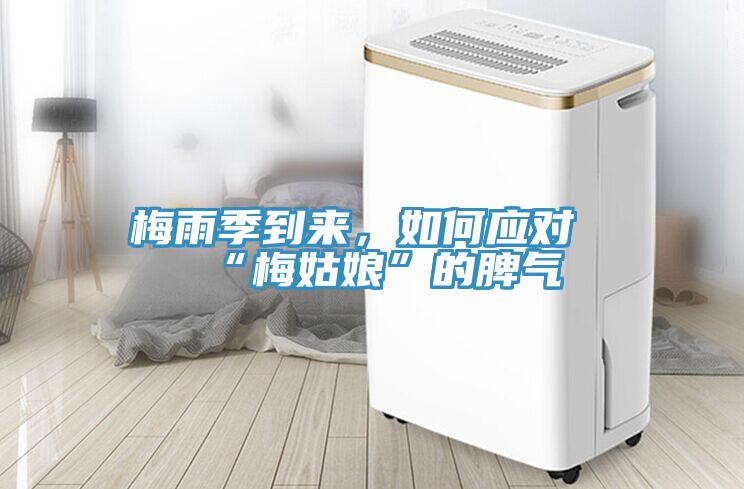 梅雨季到來(lái),如何應(yīng)對(duì)“梅姑娘”的脾氣