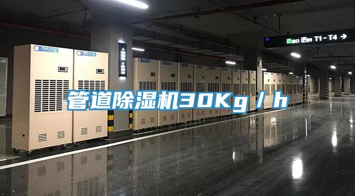 管道除濕機30Kg/h