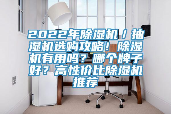 2022年除濕機(jī)／抽濕機(jī)選購攻略！除濕機(jī)有用嗎？哪個(gè)牌子好？高性價(jià)比除濕機(jī)推薦
