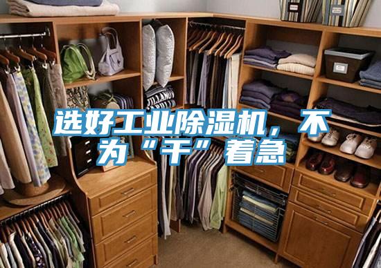 選好工業除濕機，不為“干”著急