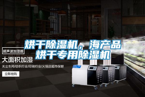烘干除濕機，海產(chǎn)品烘干專用除濕機