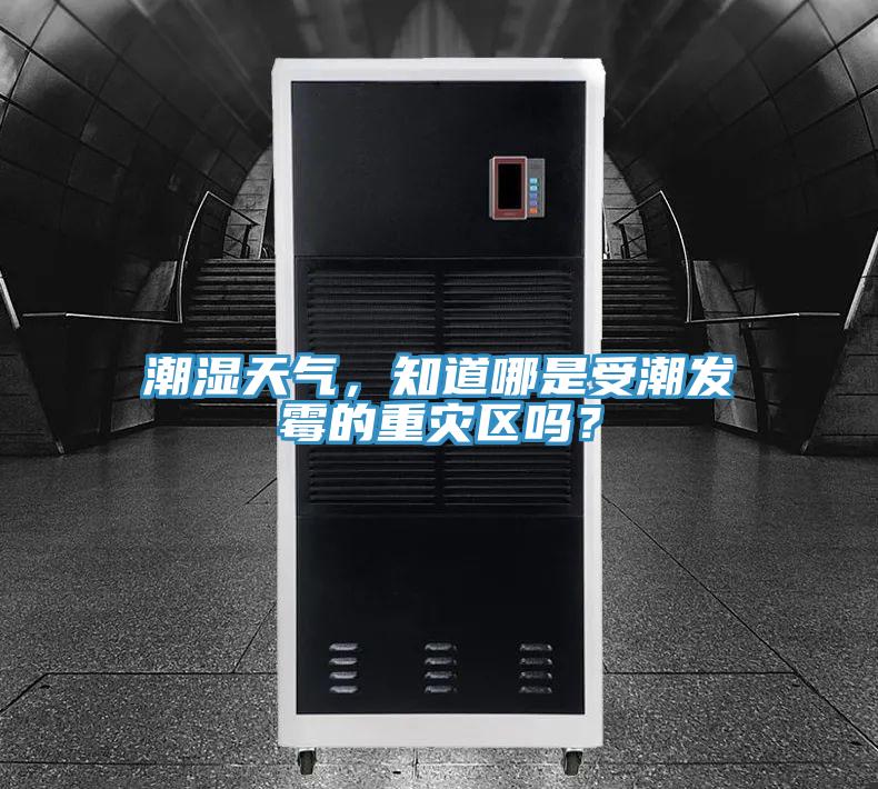 潮濕天氣，知道哪是受潮發霉的重災區嗎？