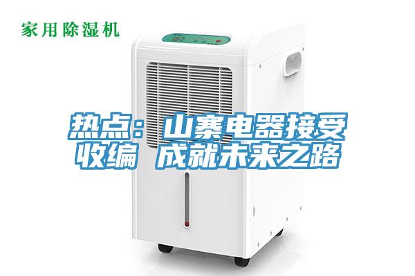 熱點:山寨電器接受收編 成就未來之路