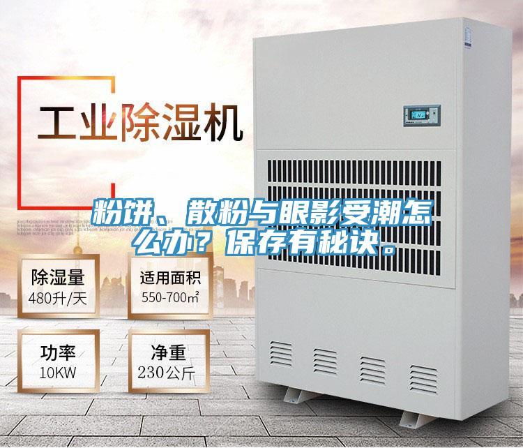 粉餅、散粉與眼影受潮怎么辦？保存有秘訣。