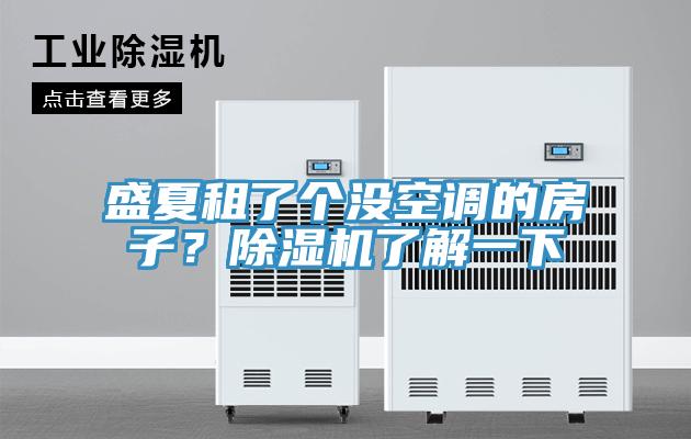 盛夏租了個(gè)沒空調(diào)的房子?除濕機(jī)了解一下
