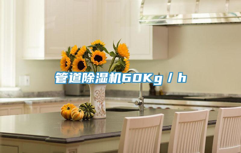 管道除濕機60Kg/h