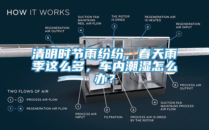 清明時(shí)節(jié)雨紛紛,春天雨季這么多,車內(nèi)潮濕怎么辦?