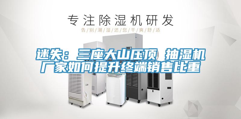 迷失:三座大山壓頂 抽濕機廠家如何提升終端銷售比重