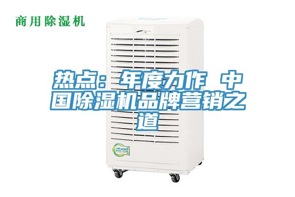 熱點:年度力作 中國除濕機品牌營銷之道