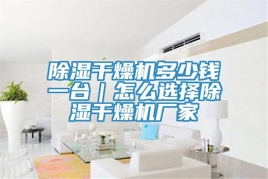 除濕干燥機多少錢一臺|怎么選擇除濕干燥機廠家