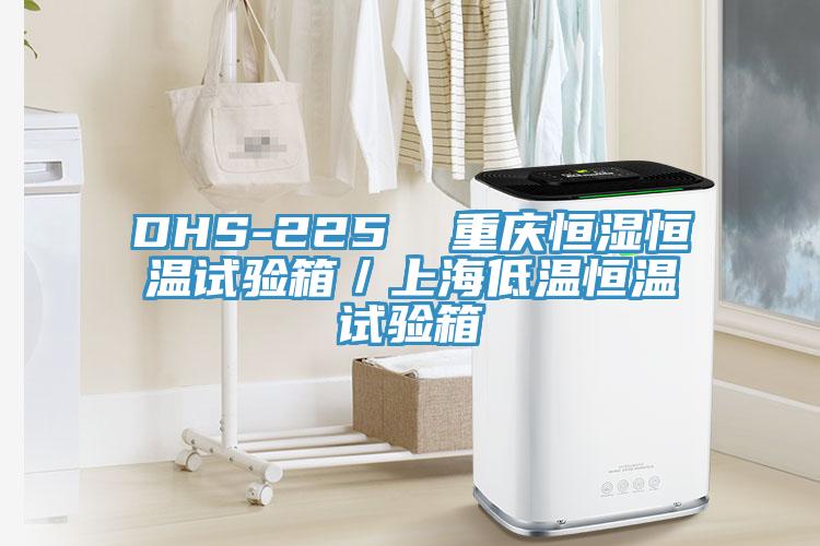 DHS-225 重慶恒濕恒溫試驗箱/上海低溫恒溫試驗箱