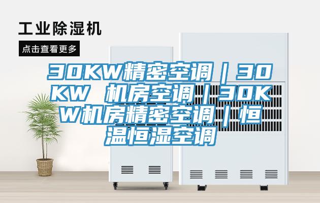 30KW精密空調|30KW 機房空調|30KW機房精密空調|恒溫恒濕空調