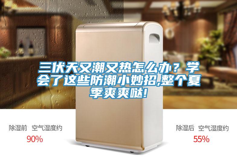 三伏天又潮又熱怎么辦？學(xué)會(huì)了這些防潮小妙招,整個(gè)夏季爽爽噠!