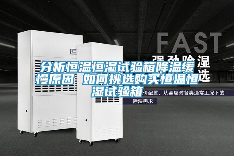 分析恒溫恒濕試驗(yàn)箱降溫緩慢原因 如何挑選購(gòu)買(mǎi)恒溫恒濕試驗(yàn)箱