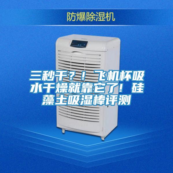 三秒干？! 飛機杯吸水干燥就靠它了! 硅藻土吸濕棒評測
