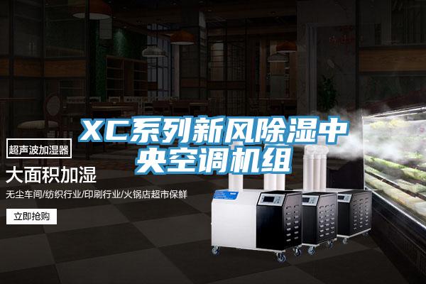 XC系列新風(fēng)除濕中央空調(diào)機組