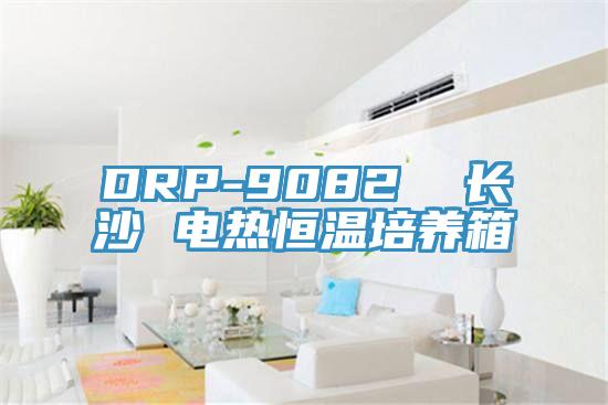 DRP-9082 長沙 電熱恒溫培養箱