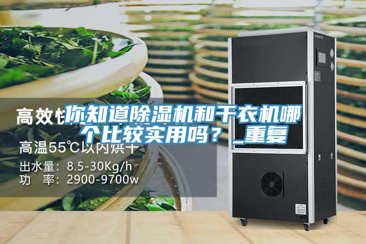 你知道除濕機(jī)和干衣機(jī)哪個比較實(shí)用嗎？_重復(fù)